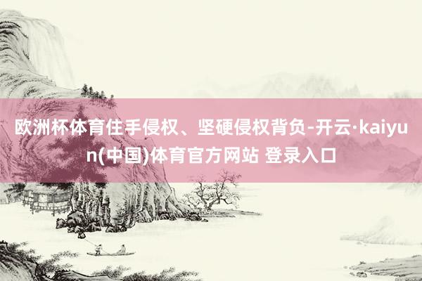 欧洲杯体育住手侵权、坚硬侵权背负-开云·kaiyun(中国)体育官方网站 登录入口