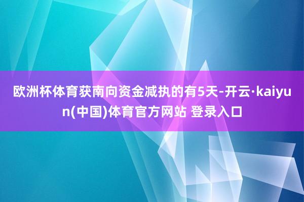 欧洲杯体育获南向资金减执的有5天-开云·kaiyun(中国)体育官方网站 登录入口