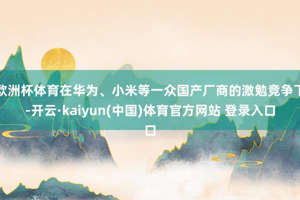 欧洲杯体育在华为、小米等一众国产厂商的激勉竞争下-开云·kaiyun(中国)体育官方网站 登录入口