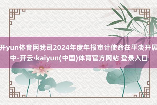 开yun体育网我司2024年度年报审计使命在平淡开展中-开云·kaiyun(中国)体育官方网站 登录入口
