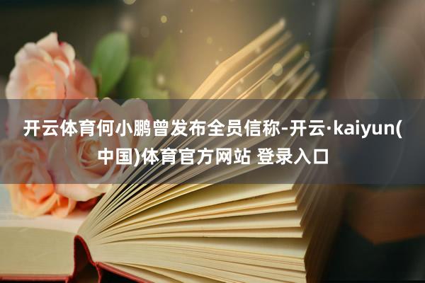 开云体育何小鹏曾发布全员信称-开云·kaiyun(中国)体育官方网站 登录入口