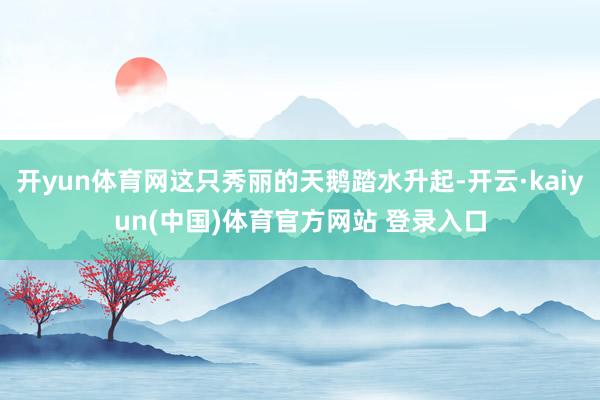 开yun体育网这只秀丽的天鹅踏水升起-开云·kaiyun(中国)体育官方网站 登录入口
