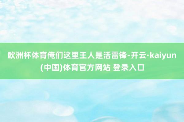欧洲杯体育俺们这里王人是活雷锋-开云·kaiyun(中国)体育官方网站 登录入口