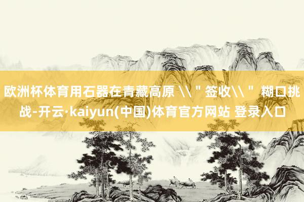欧洲杯体育用石器在青藏高原 \＂签收\＂ 糊口挑战-开云·kaiyun(中国)体育官方网站 登录入口