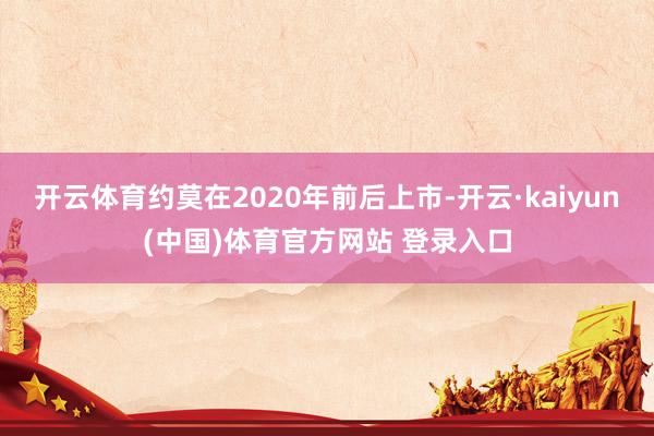 开云体育约莫在2020年前后上市-开云·kaiyun(中国)体育官方网站 登录入口