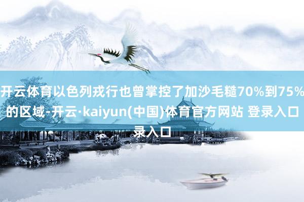 开云体育以色列戎行也曾掌控了加沙毛糙70%到75%的区域-开云·kaiyun(中国)体育官方网站 登录入口