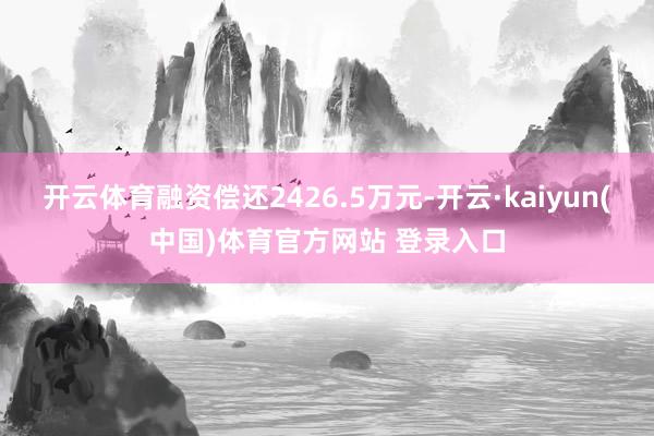 开云体育融资偿还2426.5万元-开云·kaiyun(中国)体育官方网站 登录入口