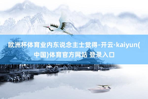 欧洲杯体育 业内东说念主士觉得-开云·kaiyun(中国)体育官方网站 登录入口
